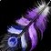 wow.zamimg.com_images_wow_icons_large_inv_feather_13.jpg