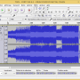 audacity_fichier_ouvert.png