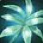inv_misc_herb_mountainsilversage.jpg